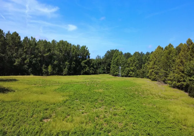 Photo 2 of Land for sale at Tbd Hardwick Rd, Nichols, SC 29581 | MLS# 2619705 | Listing updated on 2026-08-10