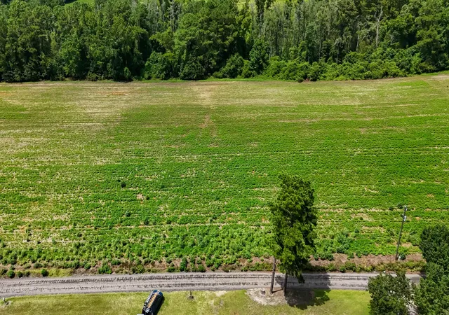 Photo 2 of Sale Pending at Lot 4 Ida Ln, Conway, SC 29527 | MLS# 2619795 | Listing updated on 2026-08-18