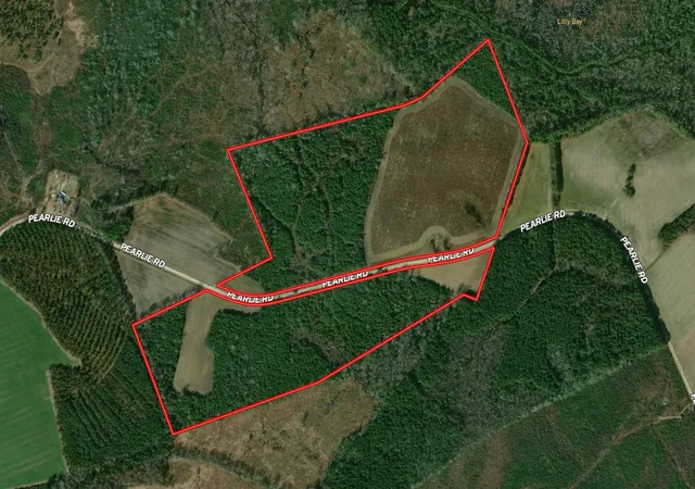 Photo 1 of Land for sale at Tbd Pearlie Dr, Dillon, SC 29536 | MLS# 2619826 | Listing updated on 2026-08-11