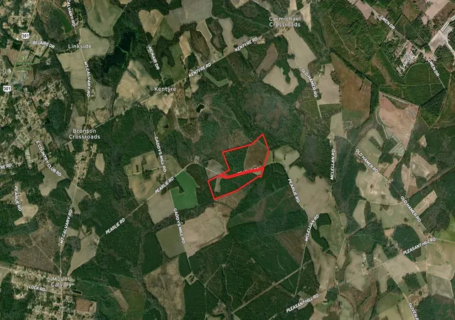 Photo 2 of Land for sale at Tbd Pearlie Dr, Dillon, SC 29536 | MLS# 2619826 | Listing updated on 2026-08-11