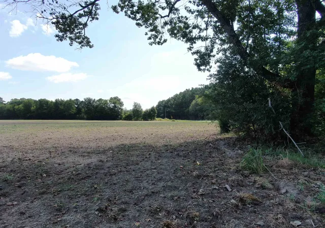 Photo 3 of Land for sale at Tbd Pearlie Dr, Dillon, SC 29536 | MLS# 2619826 | Listing updated on 2026-08-11