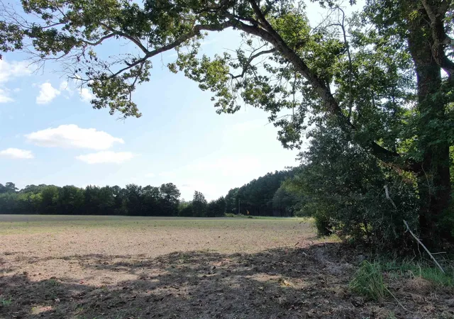 Photo 3 of Land for sale at Tbd Pearlie Dr, Dillon, SC 29536 | MLS# 2619826 | Listing updated on 2026-08-11