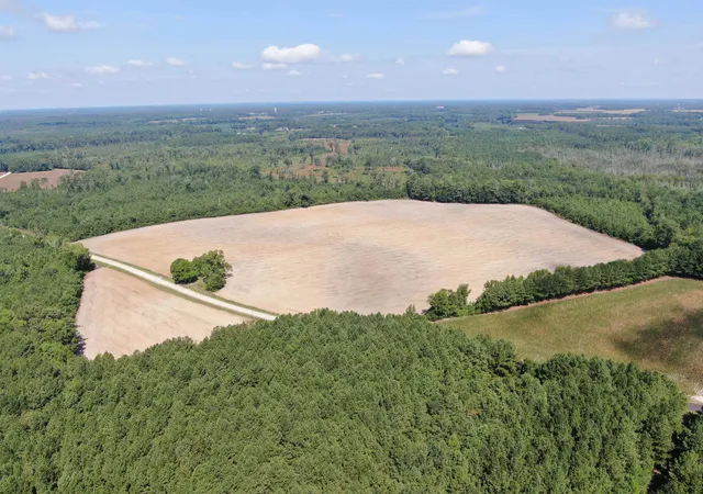 Photo 4 of Land for sale at Tbd Pearlie Dr, Dillon, SC 29536 | MLS# 2619826 | Listing updated on 2026-08-11