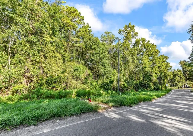 Land for sale at Tbd Lyons Ln, Longs, SC 29568 | MLS# 2619940