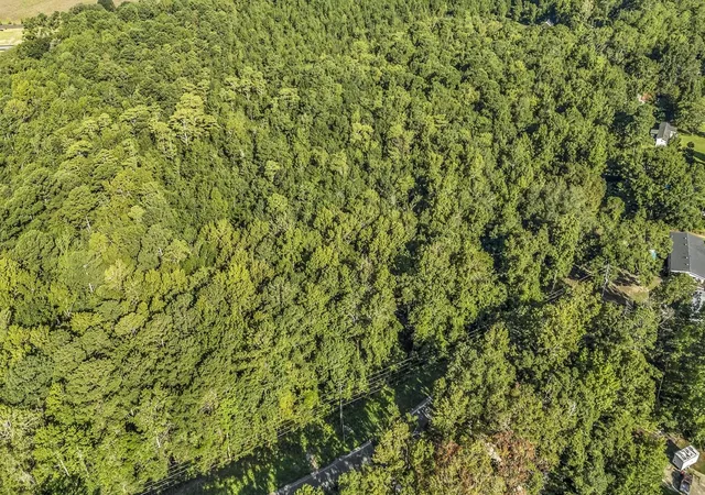 Photo 3 of Land for sale at Tbd Lyons Ln, Longs, SC 29568 | MLS# 2619940 | Listing updated on 2026-08-12