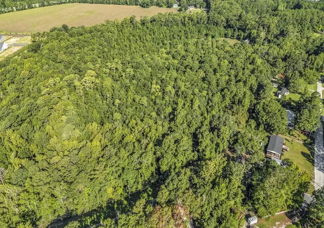 Photo 4 of Land for sale at Tbd Lyons Ln, Longs, SC 29568 | MLS# 2619940 | Listing updated on 2026-08-12