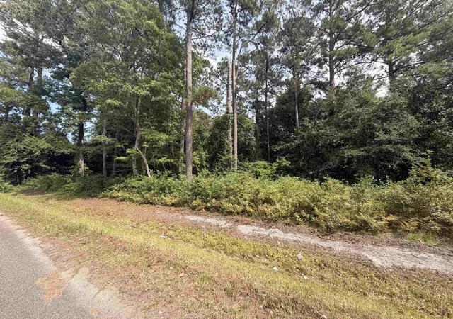 Photo 5 of Land for sale at Tbd 7th Avenue, Conway, SC 29526 | MLS# 2620167 | Listing updated on 2026-08-17