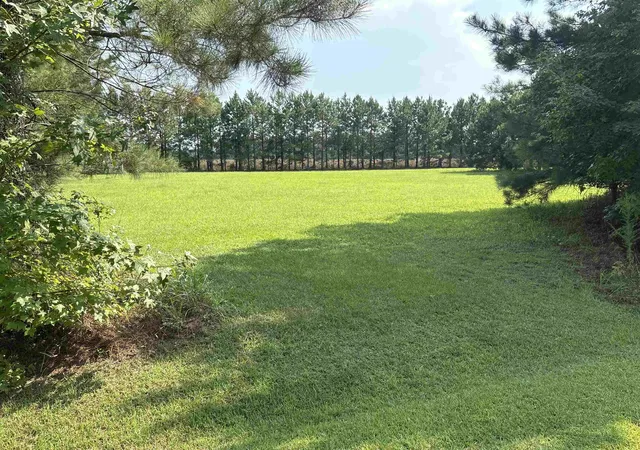 Photo 3 of Land for sale at 121 Deans Ct, Green Sea, SC 29545 | MLS# 2620200 | Listing updated on 2026-08-27