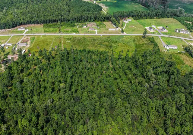 Photo 2 of Land for sale at Tbd W Highway 19, Loris, SC 29569 | MLS# 2620295 | Listing updated on 2026-08-31