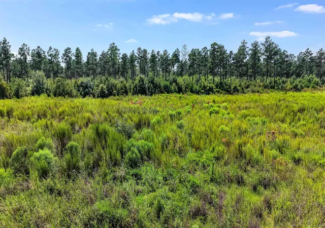 Photo 4 of Land for sale at Tbd W Highway 19, Loris, SC 29569 | MLS# 2620295 | Listing updated on 2026-08-31