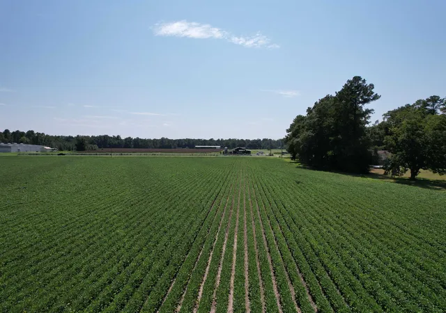 Photo 2 of Land for sale at Lot 3   Sumter Hwy, Kingstree, SC 29556 | MLS# 2620460 | Listing updated on 2026-08-18