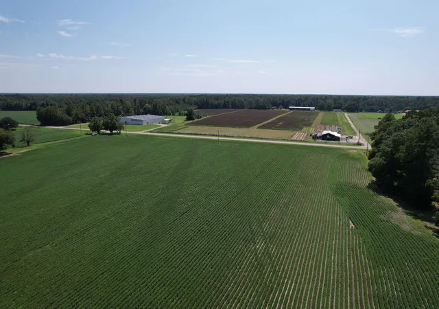 Photo 3 of Land for sale at Lot 3 - Sumter Hwy, Kingstree, SC 29556 | MLS# 2620460 | Listing updated on 2026-08-18