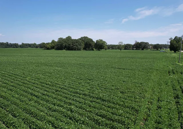 Photo 4 of Land for sale at Lot 3 - Sumter Hwy, Kingstree, SC 29556 | MLS# 2620460 | Listing updated on 2026-08-18