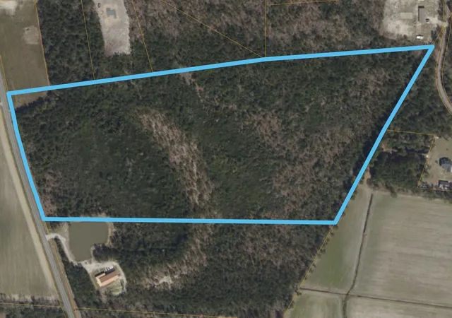 Land for sale at Tbd Ml Pond Rd, Galivants Ferry, SC 29544 | MLS# 2620511