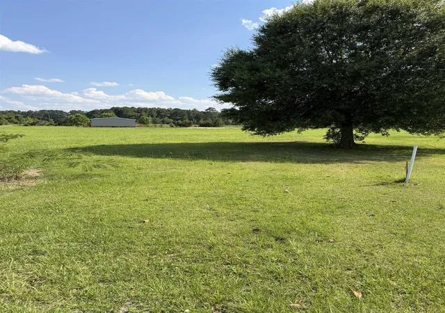 Photo 1 of Land for sale at Tbd Strickland Rd, Green Sea, SC 29545 | MLS# 2620619 | Listing updated on 2026-08-20