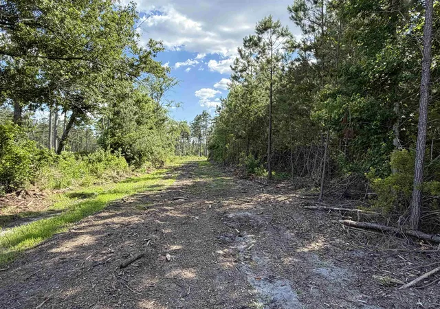 Photo 2 of Land for sale at 8862 Ware Dr, Nichols, SC 29581 | MLS# 2620688 | Listing updated on 2026-08-21