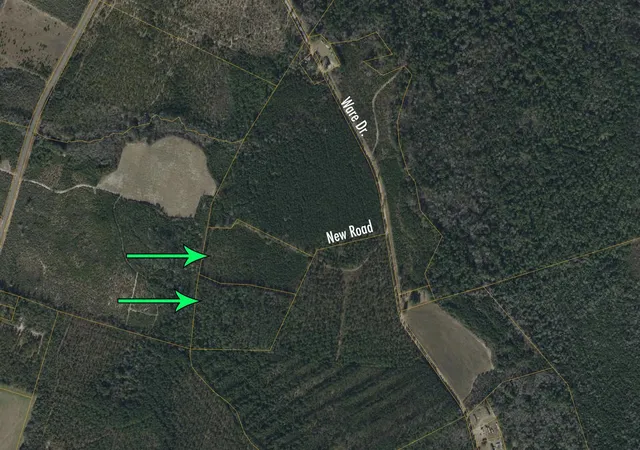 Photo 3 of Land for sale at 8862 Ware Dr, Nichols, SC 29581 | MLS# 2620688 | Listing updated on 2026-08-21