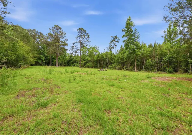 Photo 3 of Land for sale at 125 Old Groves Ln, Conway, SC 29526 | MLS# 2620878 | Listing updated on 2026-08-25
