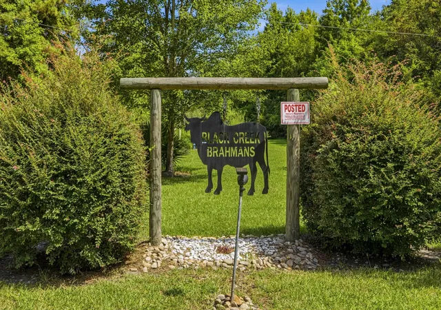 Photo 3 of Land for sale at 6400 Black Creek Rd, Nichols, SC 29581 | MLS# 2620971 | Listing updated on 2026-08-26