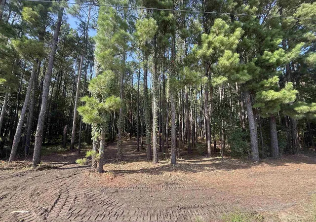 Photo 2 of Land for sale at Tbd Pasture Rd, Aynor, SC 29511 | MLS# 2620978 | Listing updated on 2026-08-25