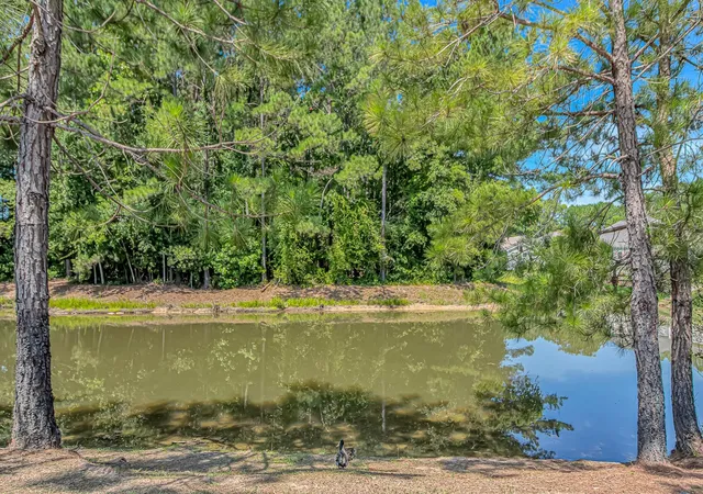 Photo 2 of Single family home for sale at 1010 Napa Ct, Longs, SC 29568 | MLS# 2621043 | Listing updated on 2026-09-18