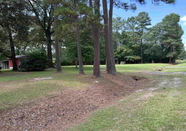 3rd image of 3686 Creek Rd, Lake City, SC 29560 | MLS# 2621260