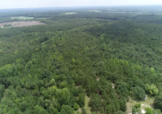 Photo 3 of Land for sale at Young Circle, Kershaw, SC 29067 | MLS# 2621336 | Listing updated on 2026-08-28