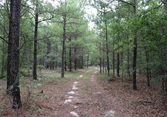 Photo 4 of Land for sale at Young Circle, Kershaw, SC 29067 | MLS# 2621336 | Listing updated on 2026-08-28