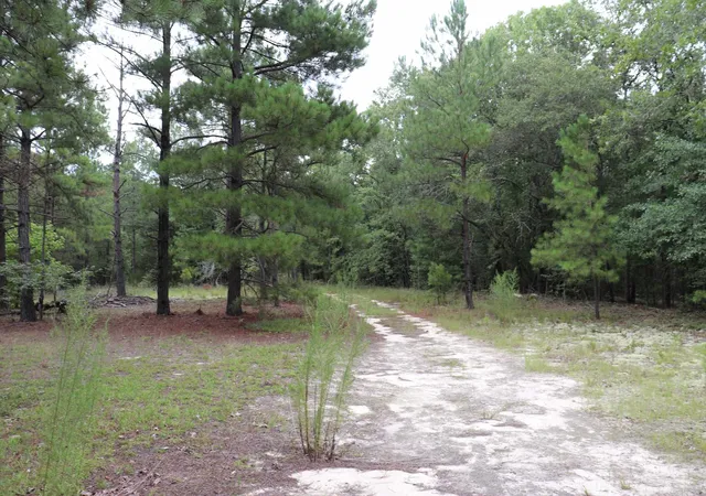 Photo 5 of Land for sale at Young Circle, Kershaw, SC 29067 | MLS# 2621336 | Listing updated on 2026-08-28