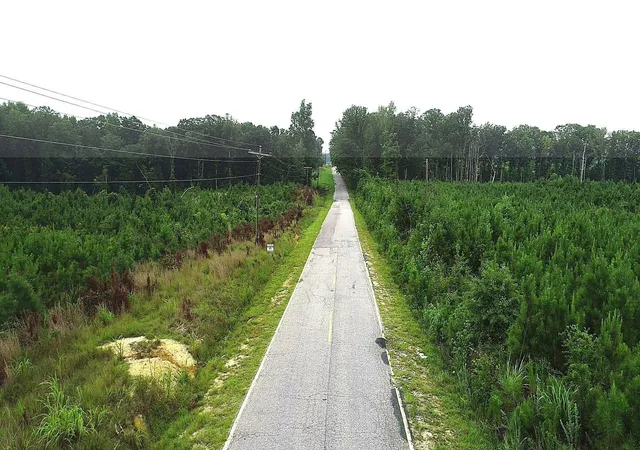 Photo 17 of Land for sale at Horton Rollins Rd, Kershaw, SC 29067 | MLS# 2621339 | Listing updated on 2026-08-28
