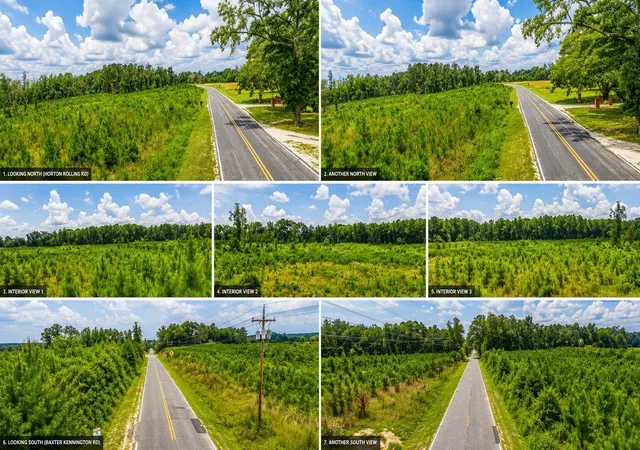 Photo 2 of Land for sale at Horton Rollins Rd, Kershaw, SC 29067 | MLS# 2621339 | Listing updated on 2026-08-28