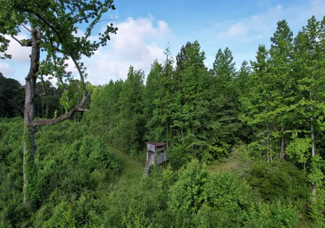 Photo 2 of Land for sale at 8167 Acres   Twin Church Rd, Timmonsville, SC 29161 | MLS# 2621511 | Listing updated on 2026-08-31
