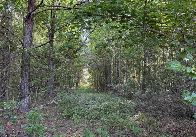 Photo 3 of Land for sale at 8167 Acres   Twin Church Rd, Timmonsville, SC 29161 | MLS# 2621511 | Listing updated on 2026-08-31