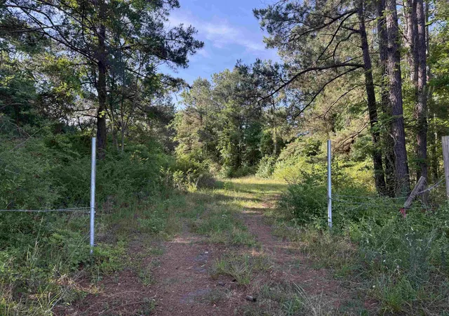 Photo 3 of Land for sale at 8167 Acres - Twin Church Rd, Timmonsville, SC 29161 | MLS# 2621511 | Listing updated on 2026-08-31