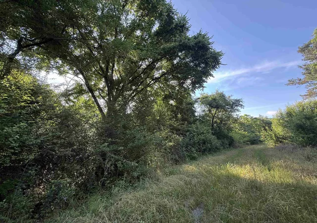 Photo 4 of Land for sale at 8167 Acres - Twin Church Rd, Timmonsville, SC 29161 | MLS# 2621511 | Listing updated on 2026-08-31