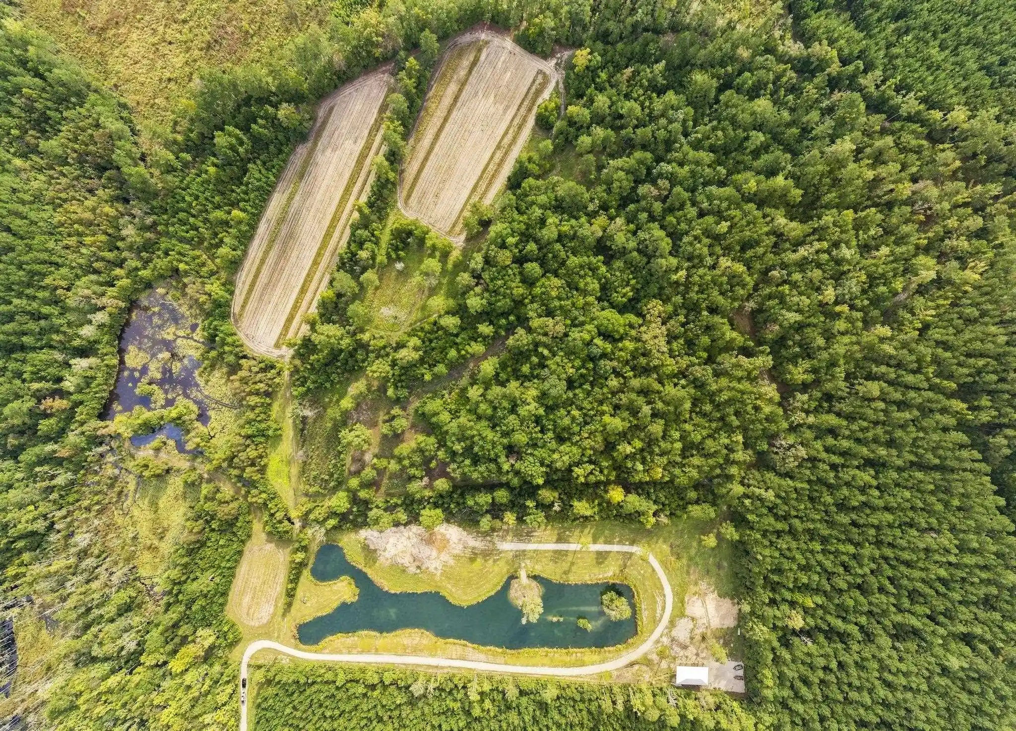 Land for sale at Tbd Bratcher Rd, Conway, SC 29526 | MLS# 2621604