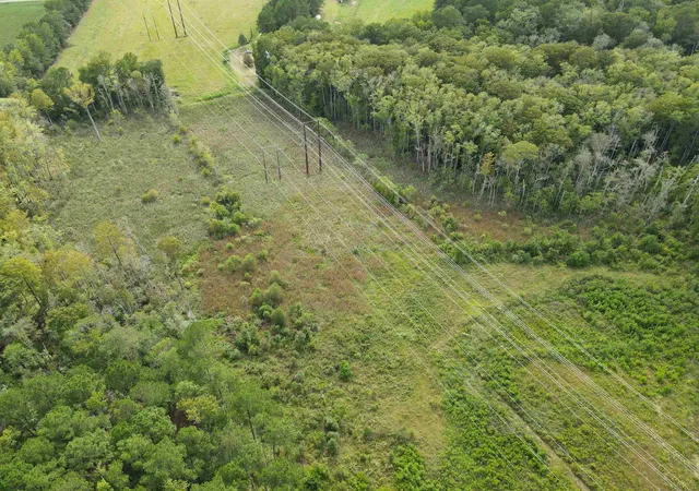 Photo 2 of Land for sale at Tbd Mosdell Dr, Conway, SC 29527 | MLS# 2622755 | Listing updated on 2026-09-15