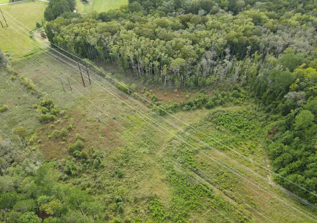 Photo 3 of Land for sale at Tbd Mosdell Dr, Conway, SC 29527 | MLS# 2622755 | Listing updated on 2026-09-15