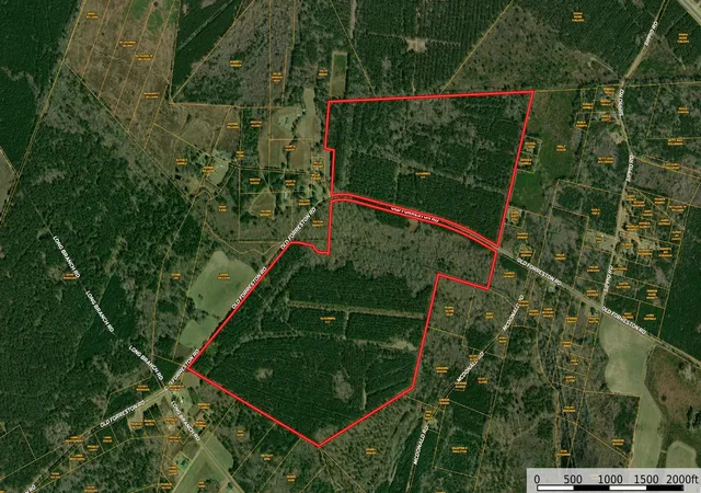 Photo 1 of Land for sale at 0 Old Forreston Rd, Greeleyville, SC 29056 | MLS# 2622870 | Listing updated on 2026-09-17