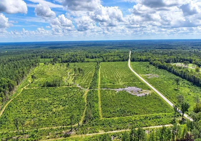 Photo 2 of Land for sale at 0 Old Forreston Rd, Greeleyville, SC 29056 | MLS# 2622870 | Listing updated on 2026-09-17