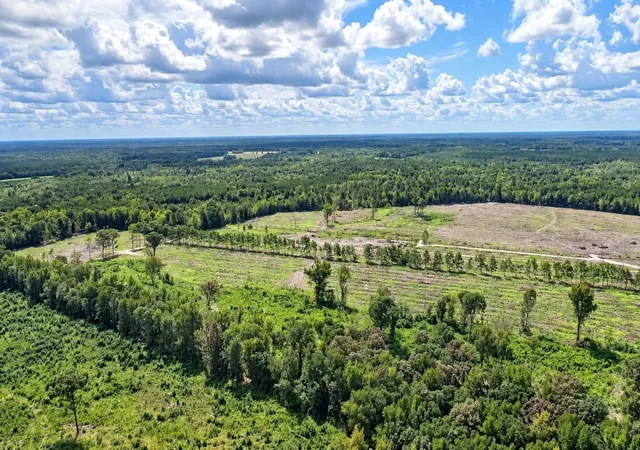Photo 3 of Land for sale at 0 Old Forreston Rd, Greeleyville, SC 29056 | MLS# 2622870 | Listing updated on 2026-09-17