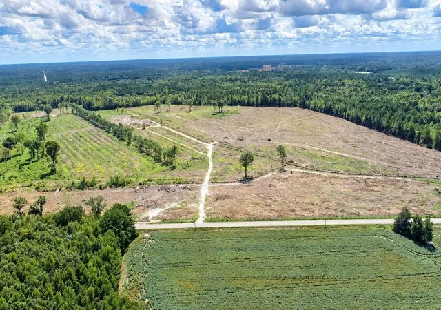 Photo 3 of Land for sale at 0 Old Forreston Rd, Greeleyville, SC 29056 | MLS# 2622870 | Listing updated on 2026-09-17