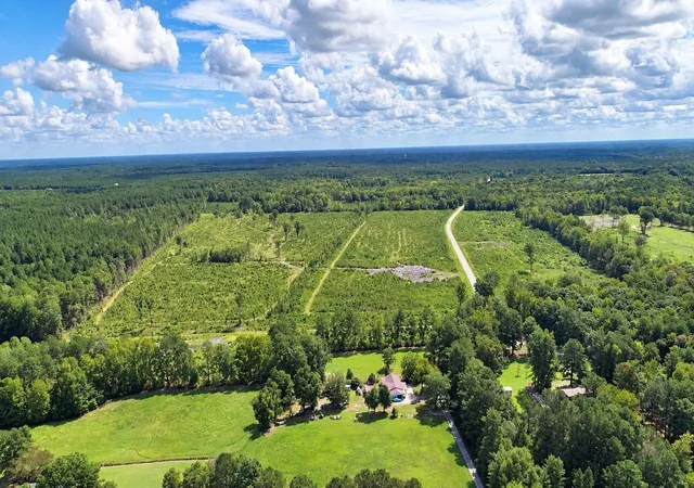 Photo 4 of Land for sale at 0 Old Forreston Rd, Greeleyville, SC 29056 | MLS# 2622870 | Listing updated on 2026-09-17