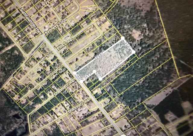 Photo 1 of Land for sale at Sumter Hwy, Kingstree, SC 29556 | MLS# 2623157 | Listing updated on 2026-09-19