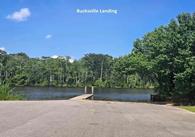 Photo 4 of Sale Pending at Tbd Browns Chapel Ave, Conway, SC 29527 | MLS# 2623266 | Listing updated on 2026-09-21