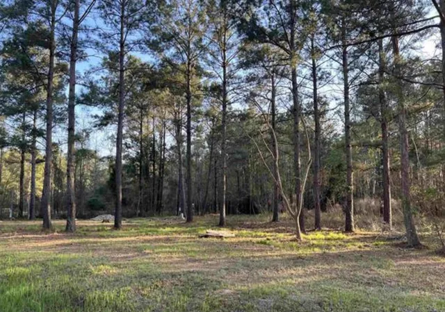 Photo 2 of Land for sale at 2108 Lees Landing Cir, Conway, SC 29526 | MLS# 2623350 | Listing updated on 2026-09-21