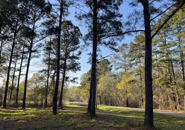 Photo 3 of Land for sale at 2108 Lees Landing Cir, Conway, SC 29526 | MLS# 2623350 | Listing updated on 2026-09-21