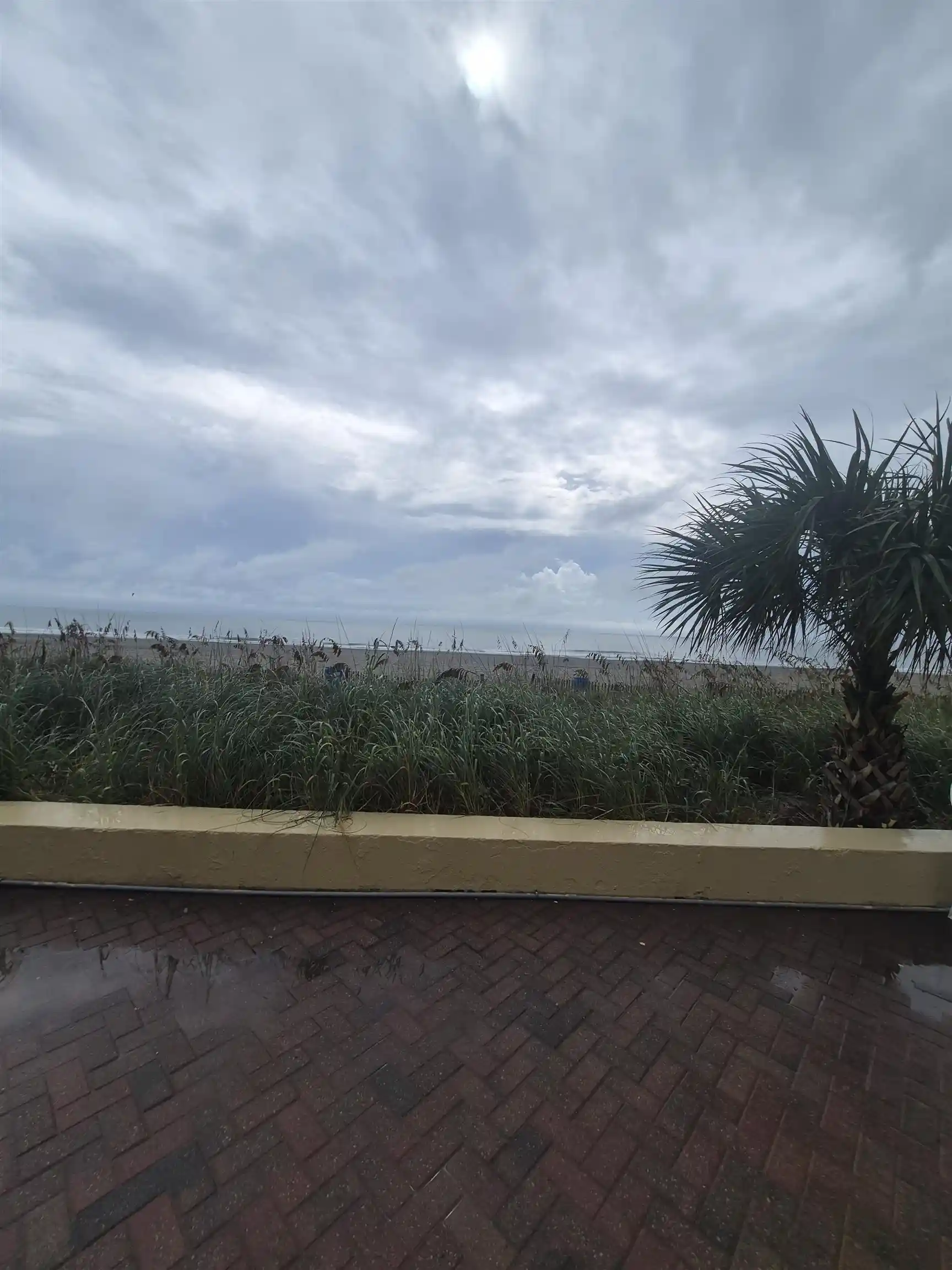 Listing Photo 56 - Condo for sale in 1207 S Ocean Blvd located at 1207 S Ocean Blvd, Myrtle Beach, SC 29577 - Unit #51101
