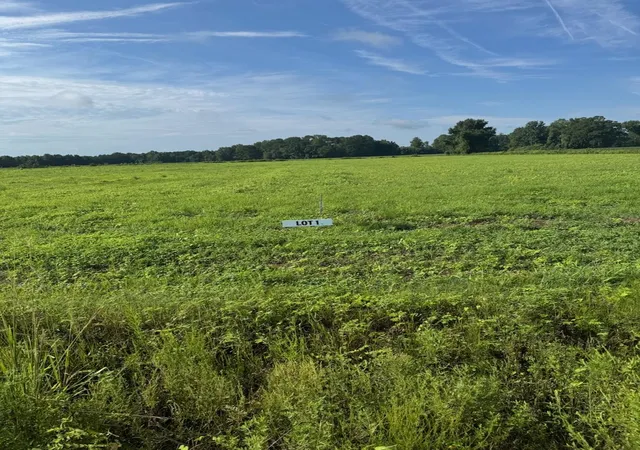 Land for sale at 2100-1 York Rd, Green Sea, SC 29545 | MLS# 2623925