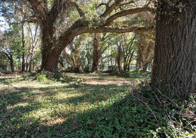 Photo 2 of Land for sale at Lot 2   Sumter Hwy, Kingstree, SC 29556 | MLS# 2624175 | Listing updated on 2026-10-01